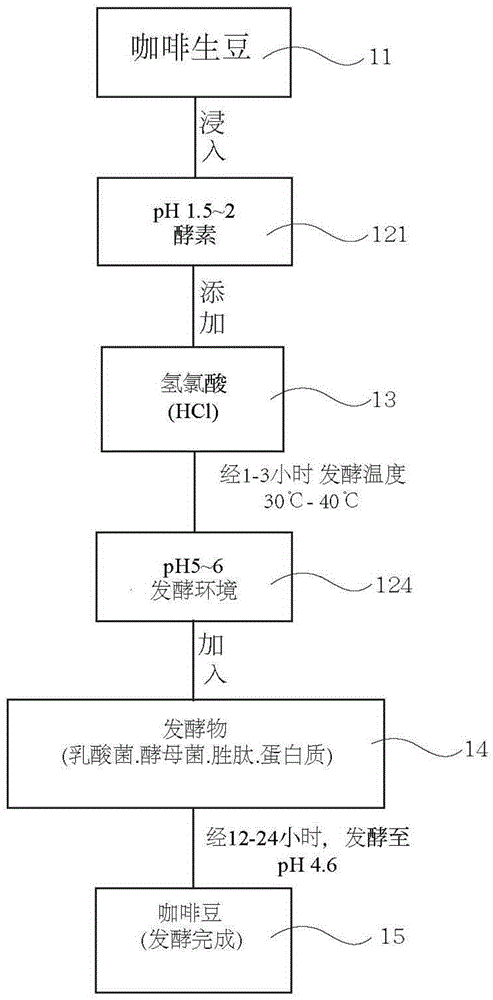 Bionic fermentation method of green coffee beans