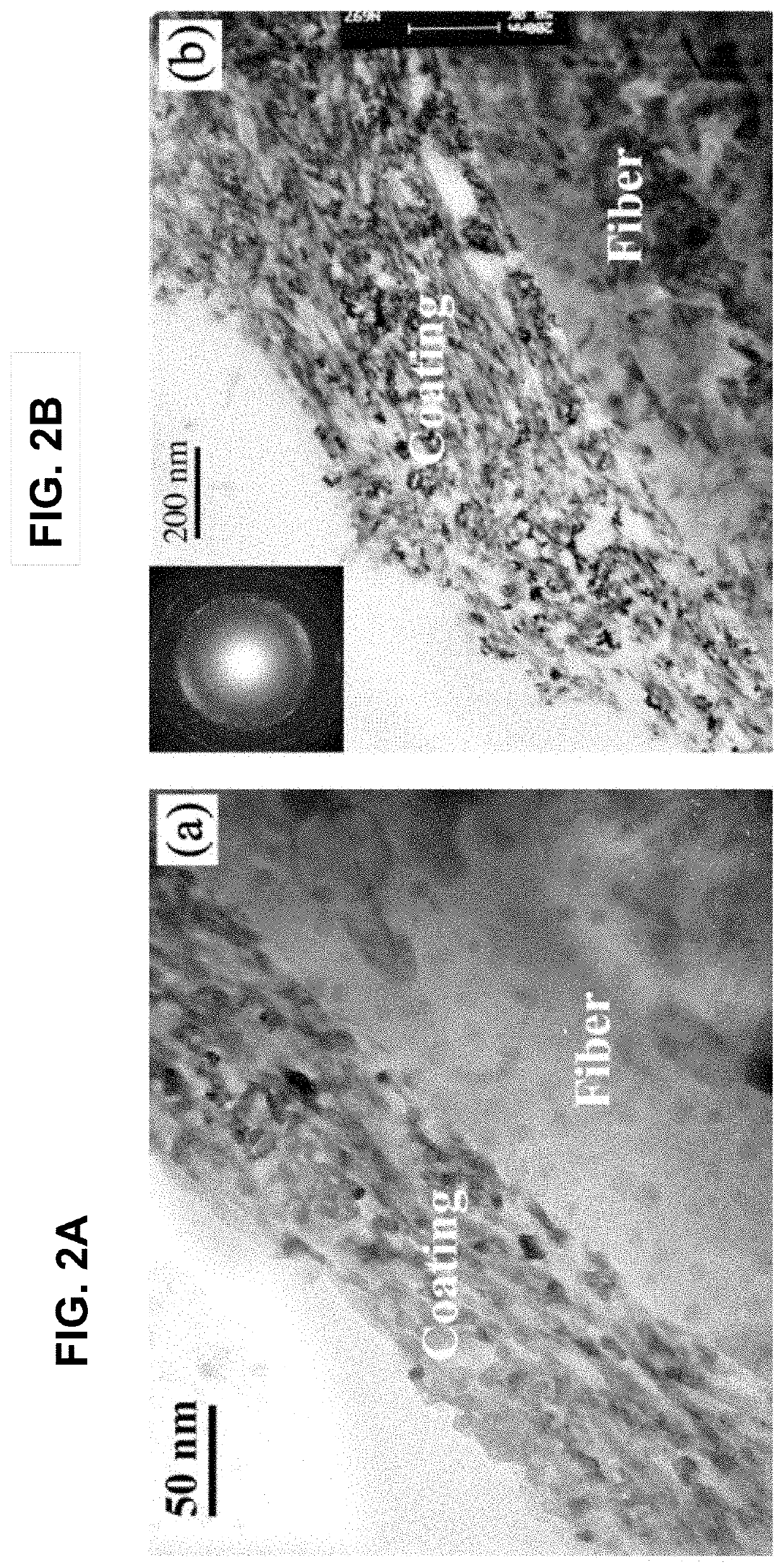 Oxidation-resistant fiber coatings and related methods