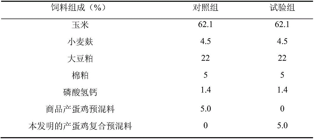 Laying hen Chinese herbal medicine additive compound premix and preparation method thereof