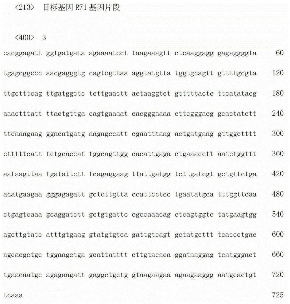 SNP marker based typing method for spartina alterniflora population