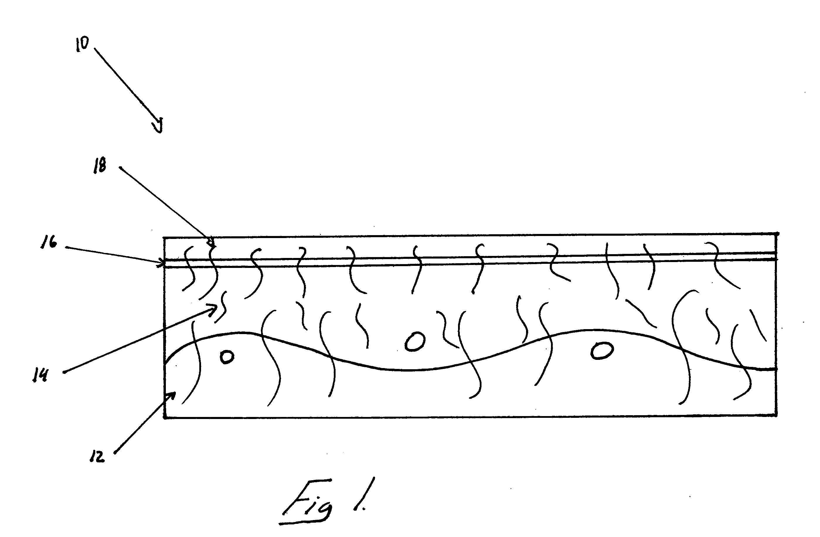 Industrial fabric having a layer of a fluoropolymer and method of manufacture