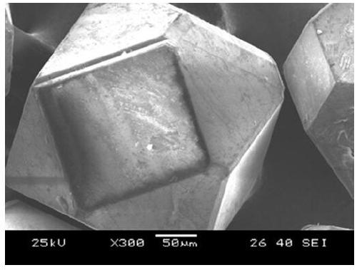 Preparation method of boron carbide-coated diamond abrasive grains