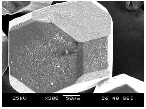 Preparation method of boron carbide-coated diamond abrasive grains