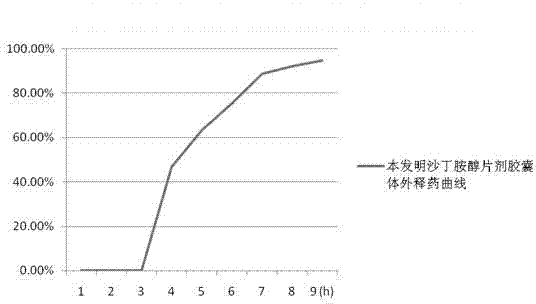 Levalbuterol hydrochloride oral controlled release tablet capsule and preparation method thereof