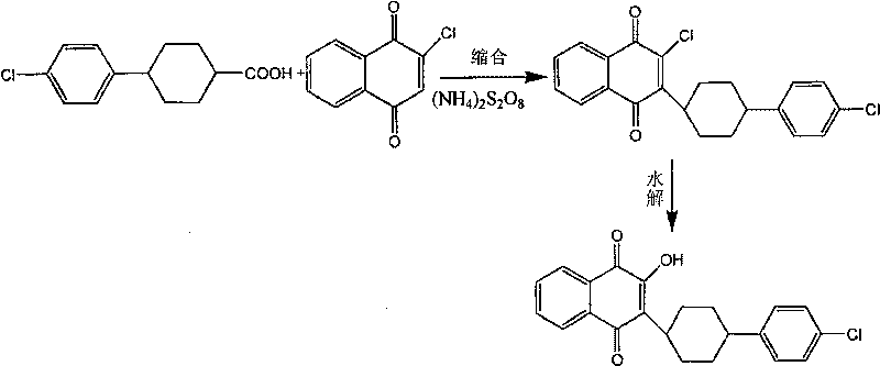 Technique for synthesizing atovaquone