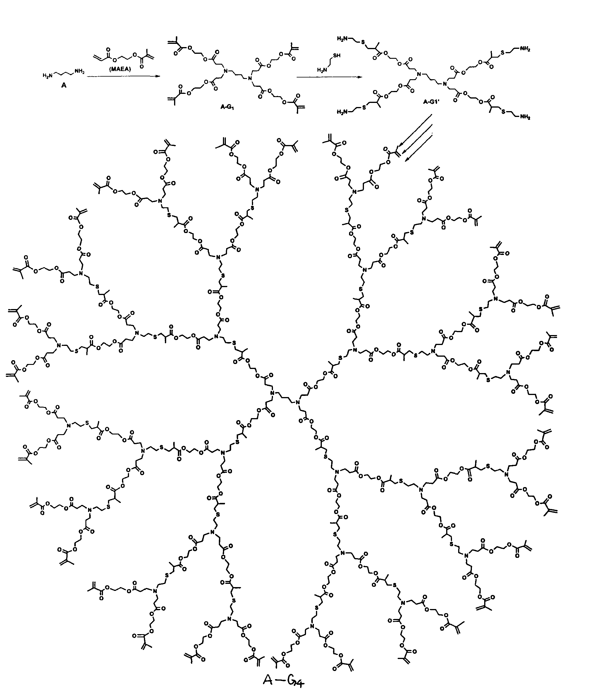 Method for preparing dendritic macromolecule of polyester