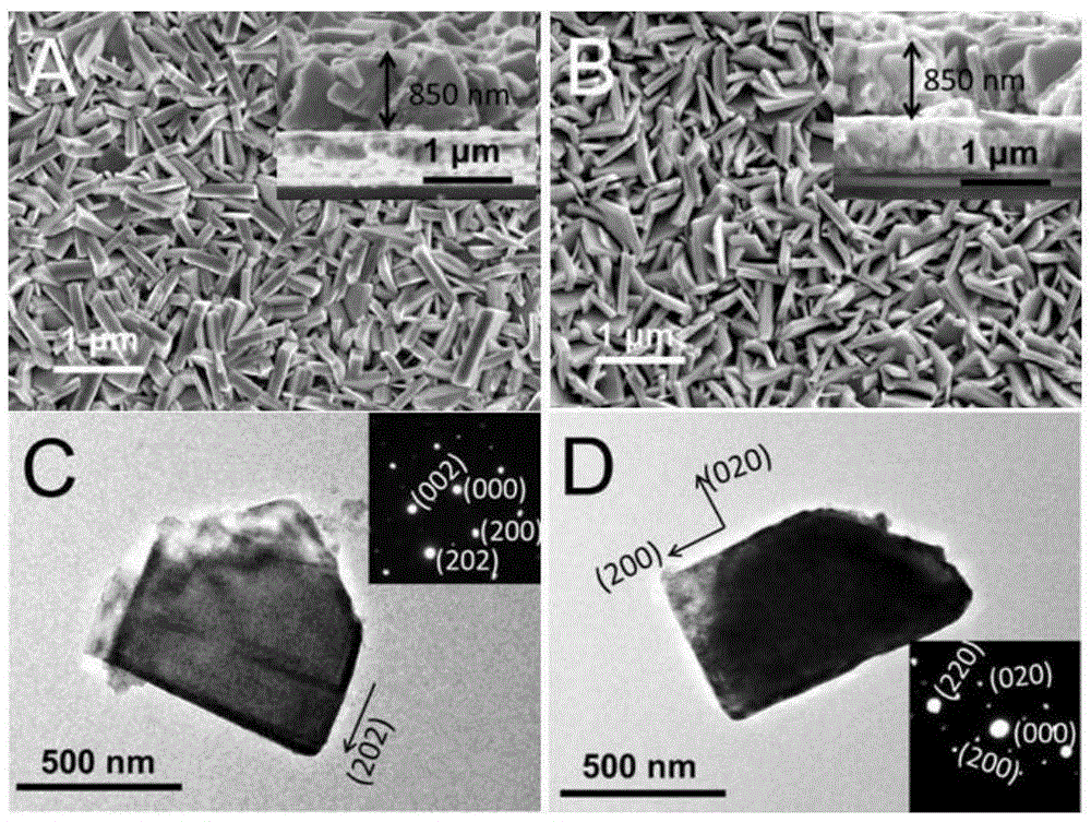 Preparation method and application research of WO3 nanosheet array film