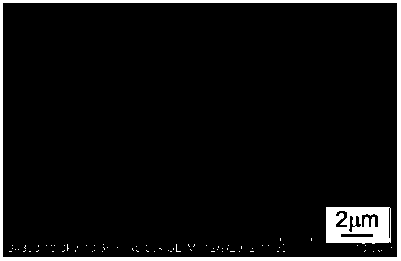 Polyformaldehyde nanopore film with micro-nano bicontinuous porous structure and preparation method of polyformaldehyde nanopore film