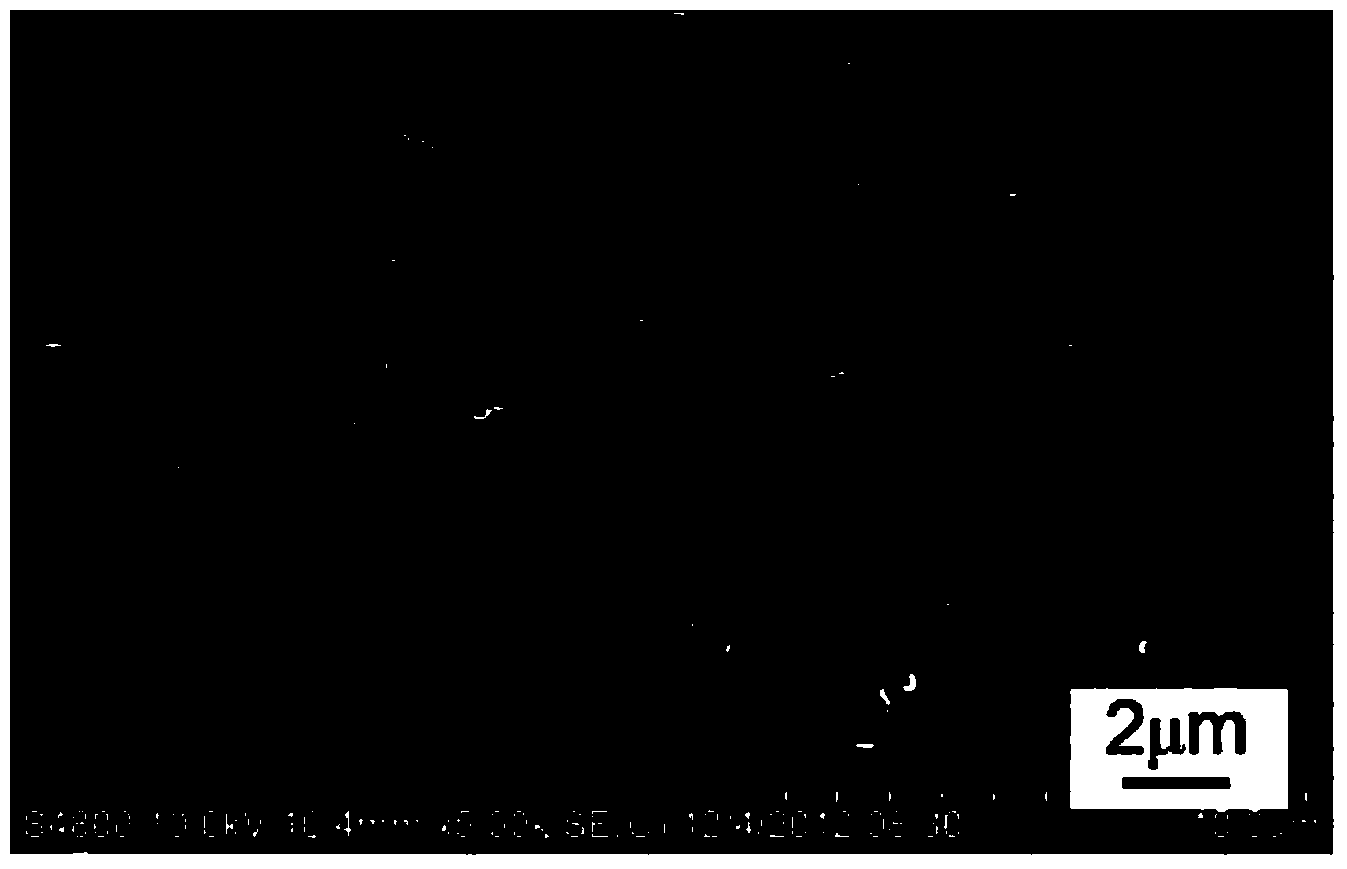 Polyformaldehyde nanopore film with micro-nano bicontinuous porous structure and preparation method of polyformaldehyde nanopore film