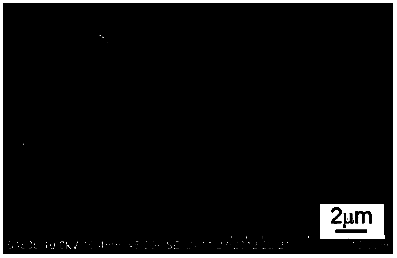 Polyformaldehyde nanopore film with micro-nano bicontinuous porous structure and preparation method of polyformaldehyde nanopore film