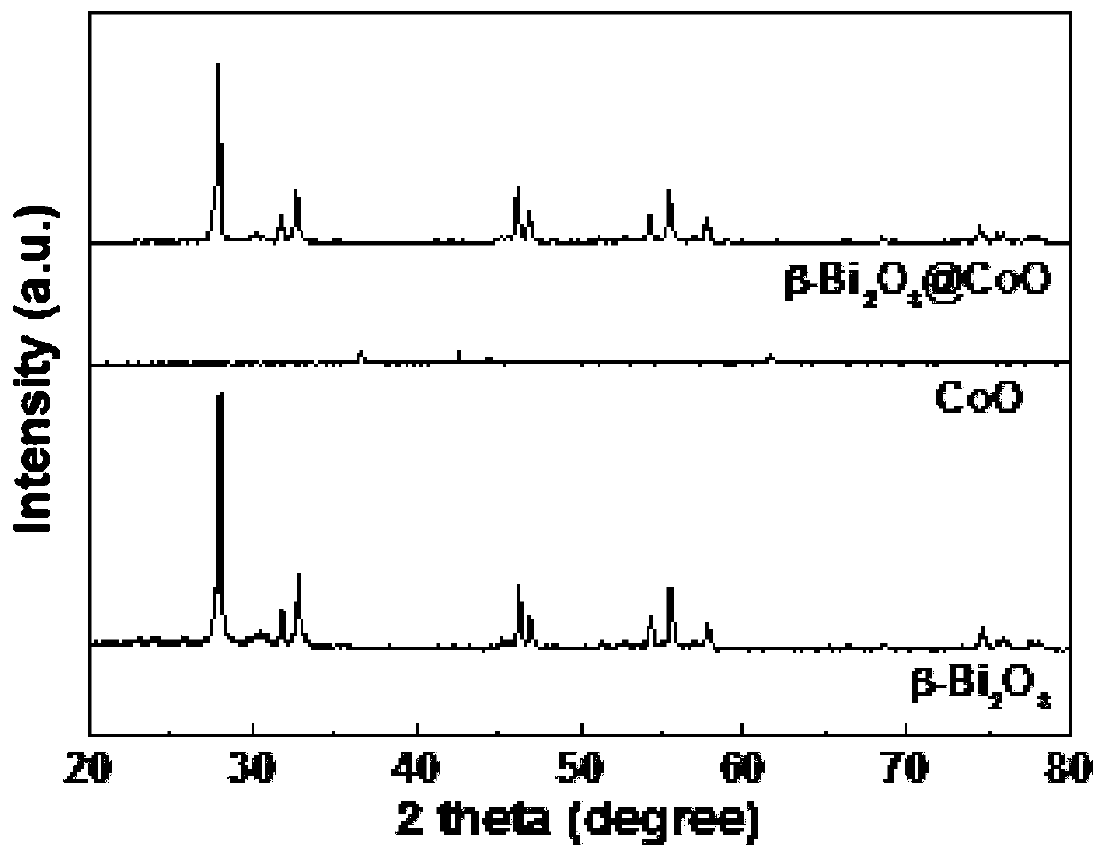 Floral Beta-Bi2O3@CoO heterojunction photocatalyst, preparation method and application thereof