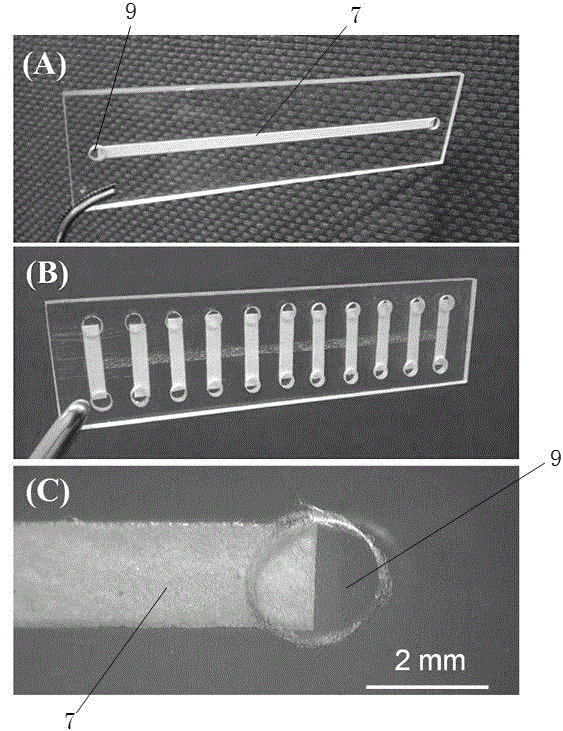 Paper element micro-fluidic chip proteolysis reactor and preparation method thereof