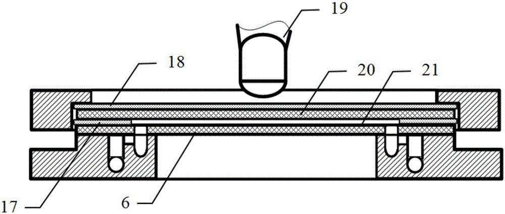 Flowing chamber for biofluid experiment