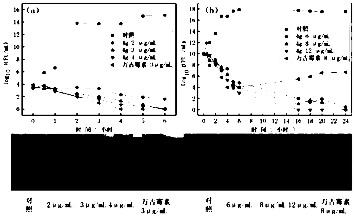 Amide aromatic phenol antibacterial peptide analogue with antibacterial activity and preparation method thereof