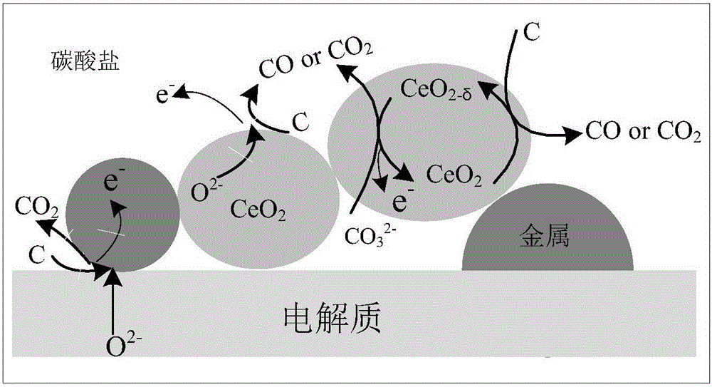 Direct carbon fuel cell anode with dual electric catalytic functions