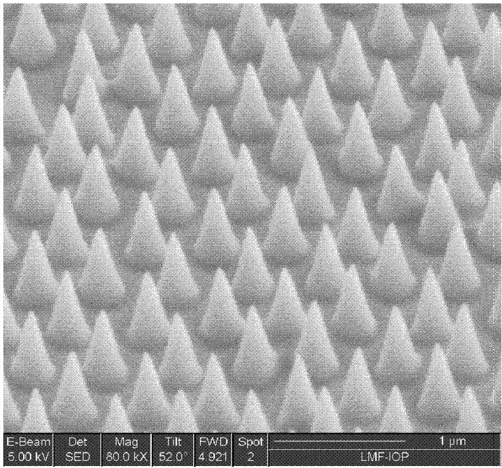 Method for preparing cone-shaped structure on gallium phosphide (GaP) surface