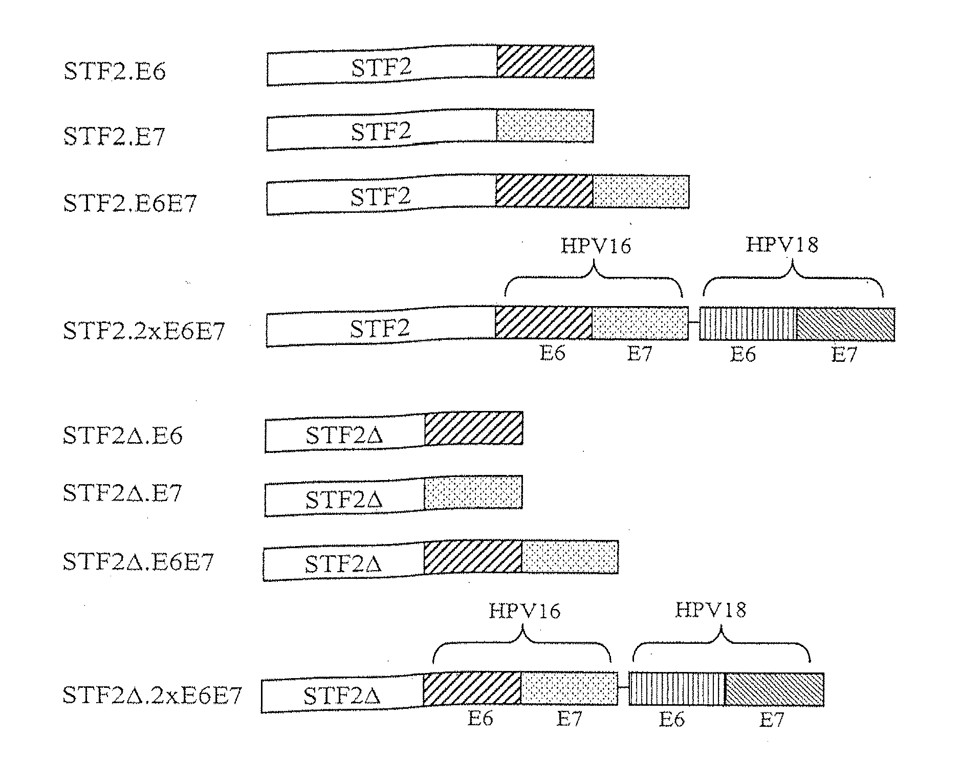 Compositions of toll-like receptor agonists and papillomavirus antigens and methods of use thereof