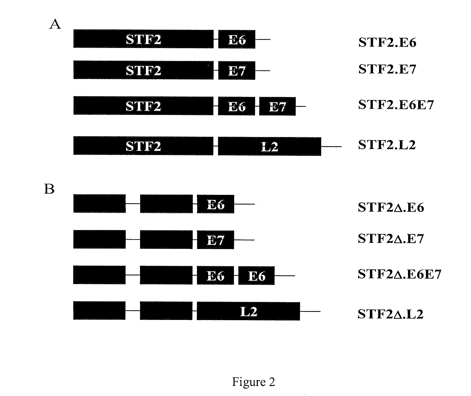 Compositions of toll-like receptor agonists and papillomavirus antigens and methods of use thereof