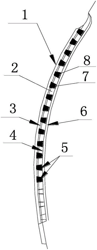 Radial tire with dual-cavity sidewall structure