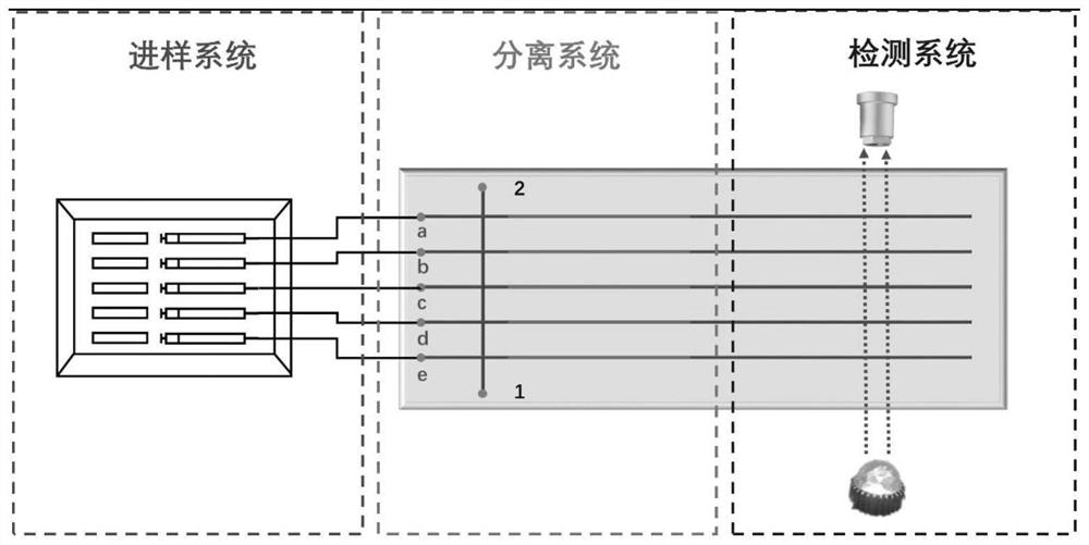 Chromatographic system based on ionic liquid imprinted polymer microchip and detection method thereof