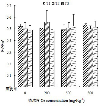 Method for using cerium to improve chlorophyll fluorescence dynamic of ryegrass in arid environments