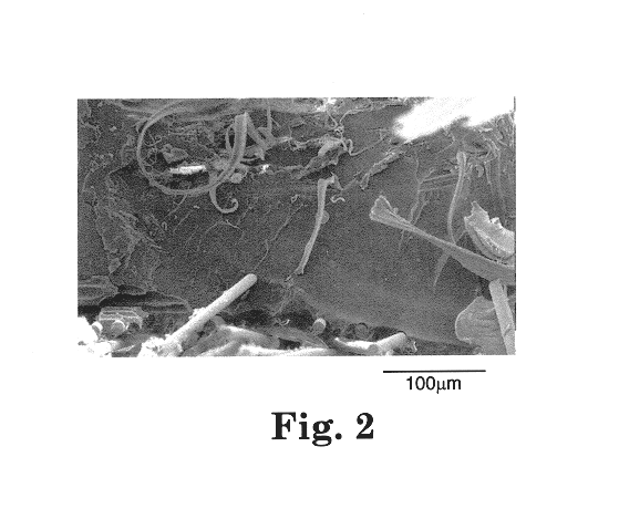 Composite articles reinforced with highly oriented microfibers