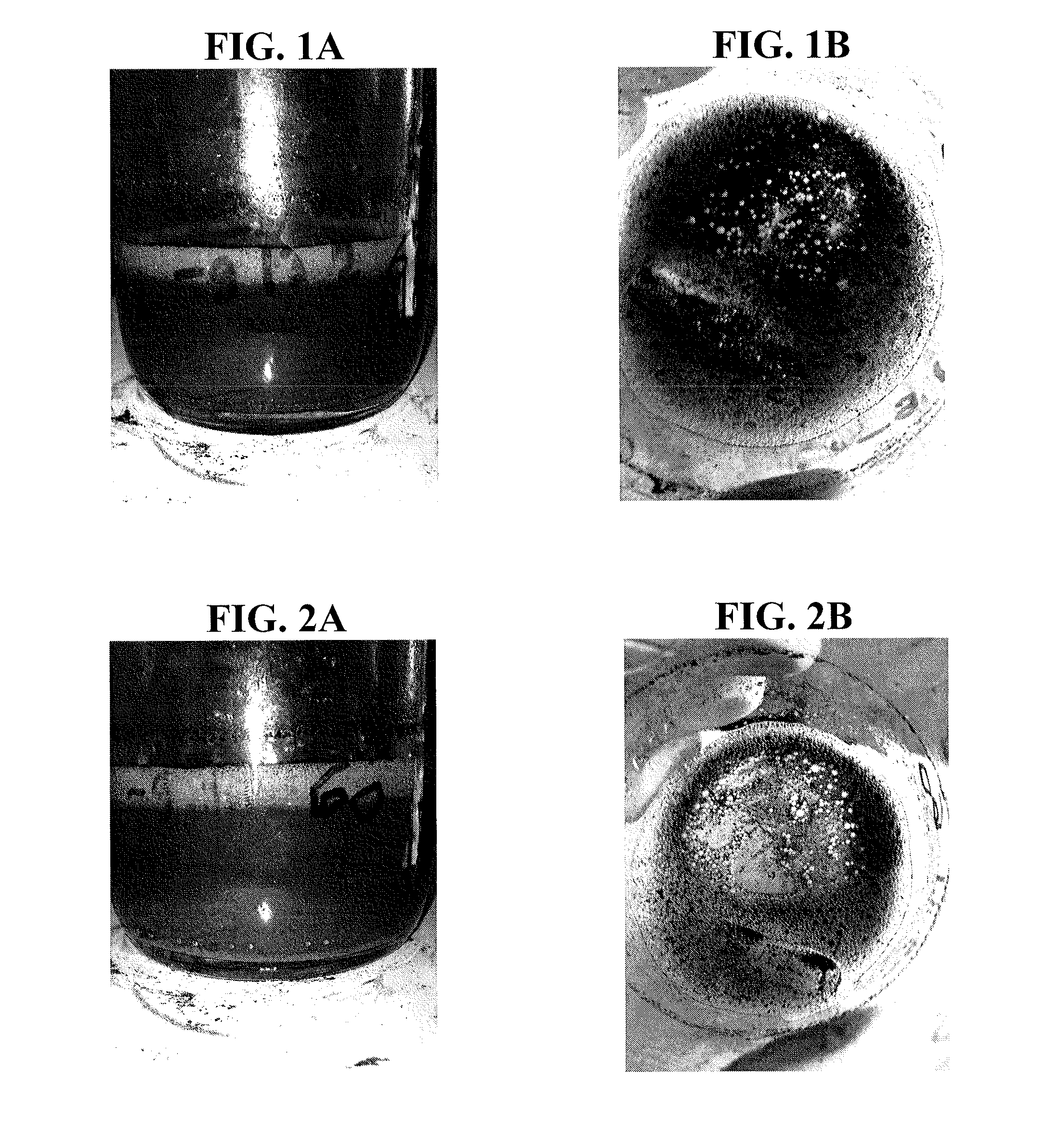 Plant-based compositions and uses thereof