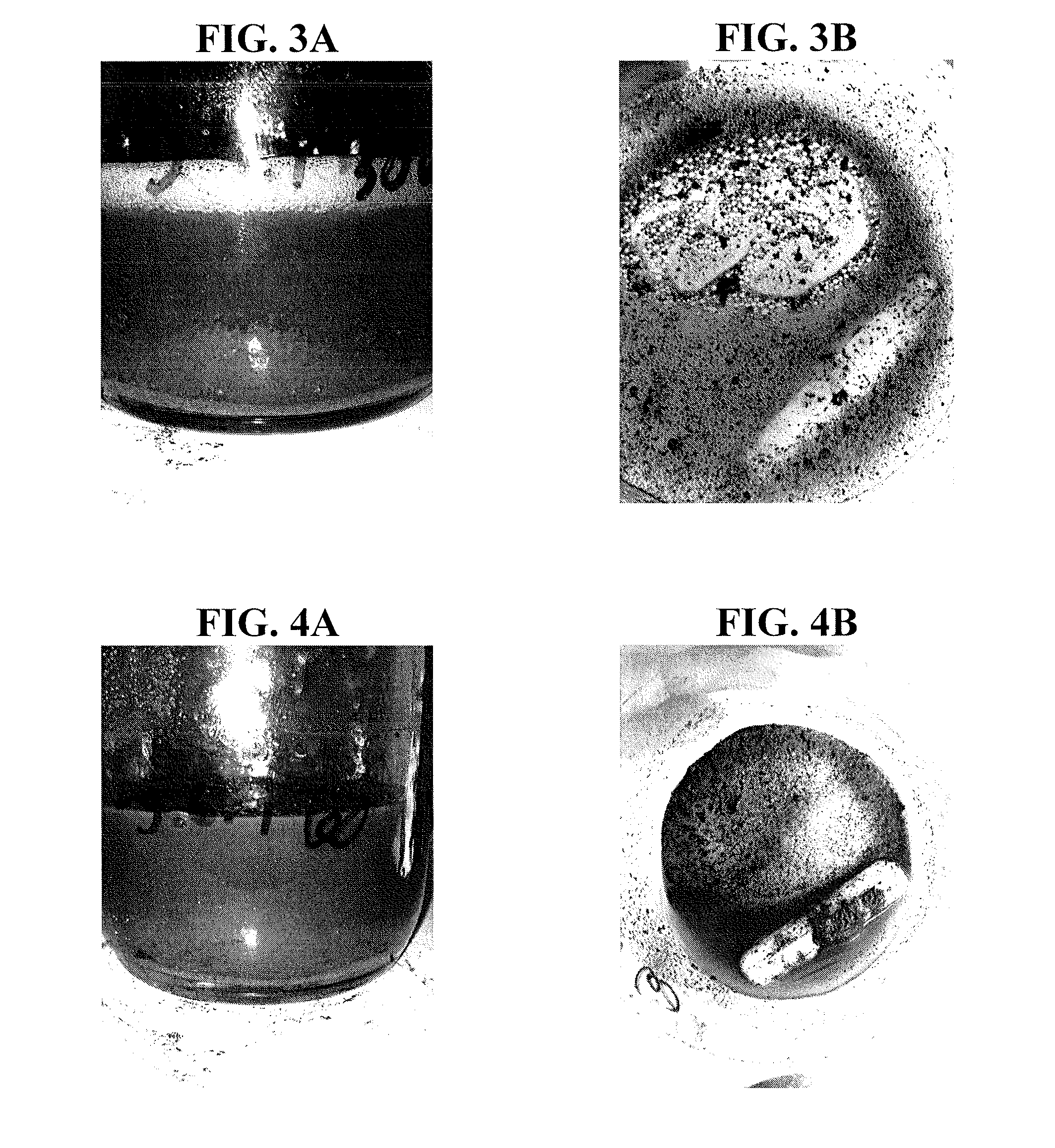 Plant-based compositions and uses thereof