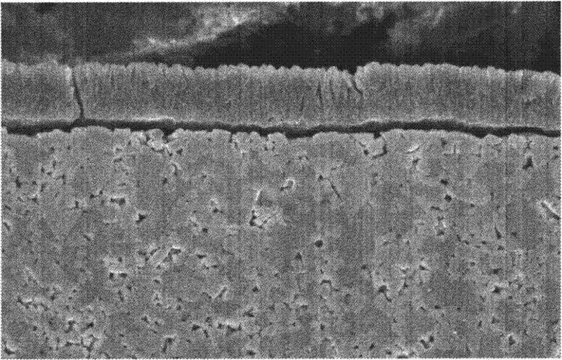 Etching agent for titanium carbonitride coating on surface of hard alloy cutter and method for using same