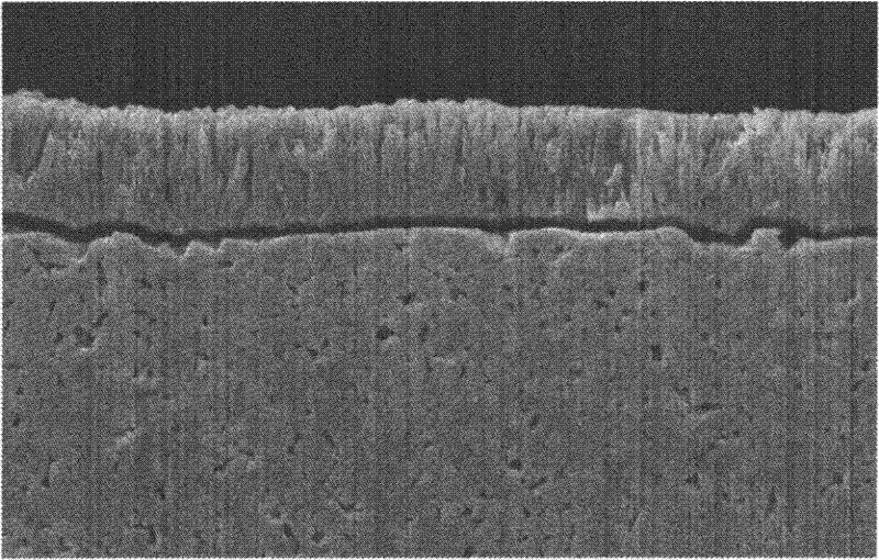 Etching agent for titanium carbonitride coating on surface of hard alloy cutter and method for using same