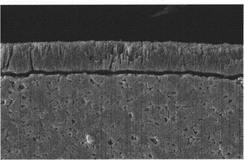 Etching agent for titanium carbonitride coating on surface of hard alloy cutter and method for using same