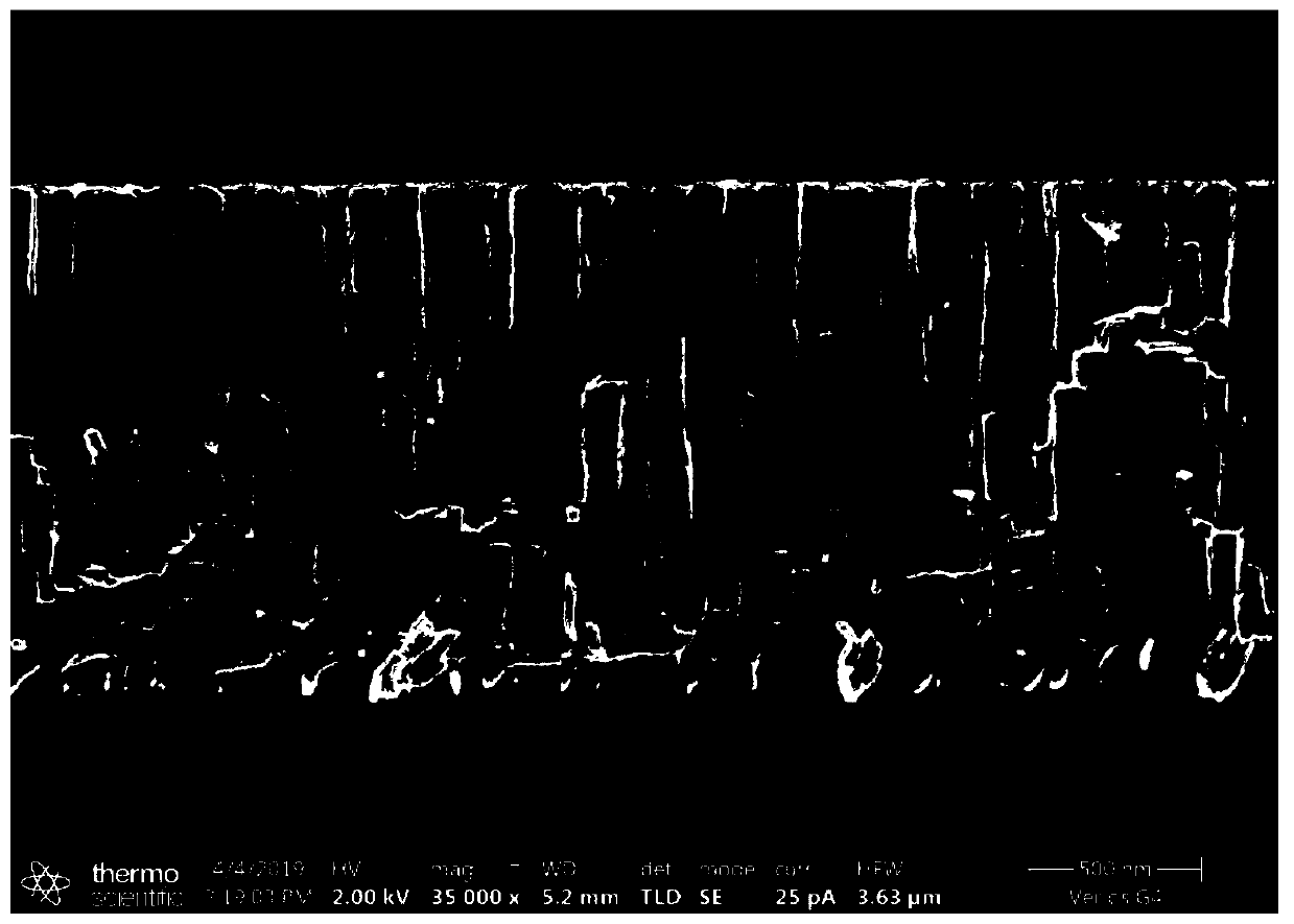 TaN coating and preparation method thereof and application