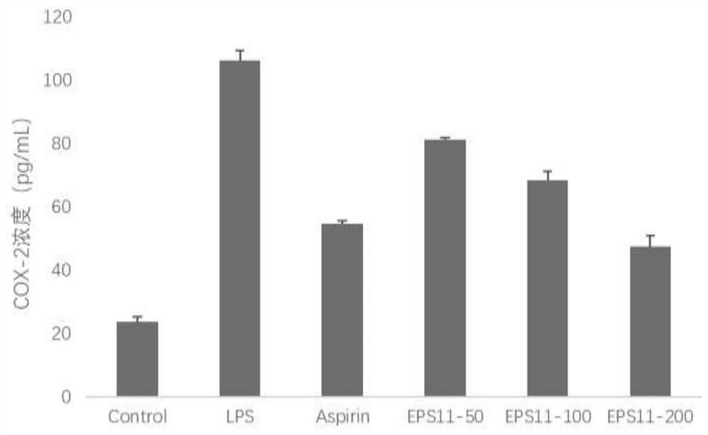 Application of bacillus marinus sp. BS11 exopolysaccharide in preparation of anti-inflammatory drugs