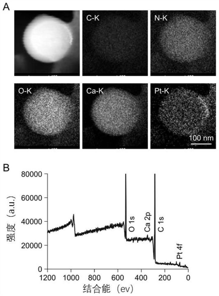A responsive nanoparticle with mitochondrial targeting function, its preparation method and application