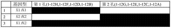 Primer group and kit for detecting human erythrocyte Kell blood type genotyping