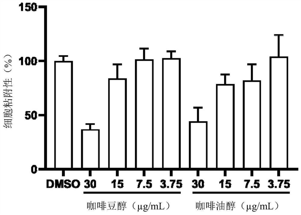 Application of caffeol or caffeol derivative in preparation of anti-candida albicans drugs or anti-candida albicans daily necessities