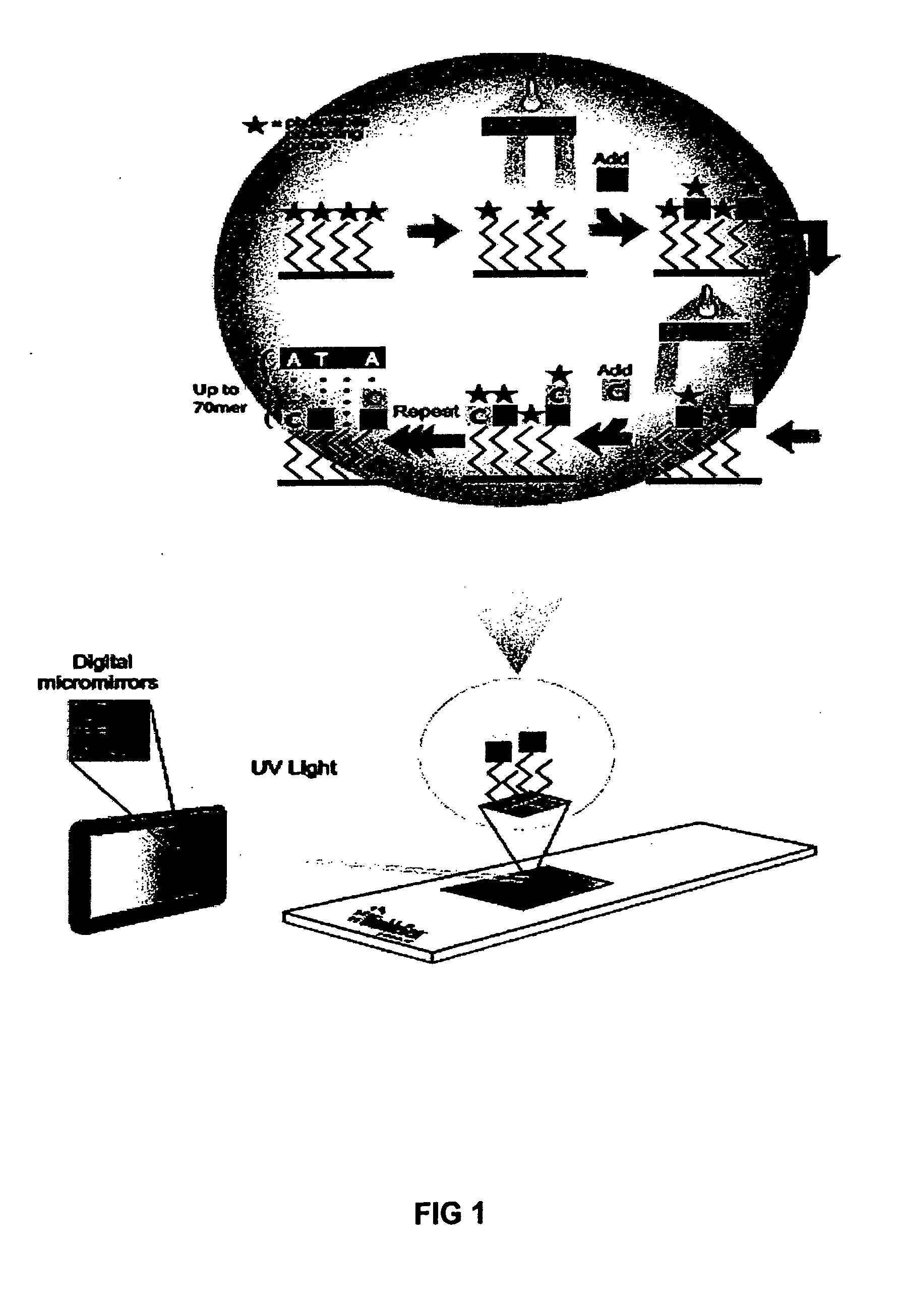 Method of performing PCR amplification on a microarray
