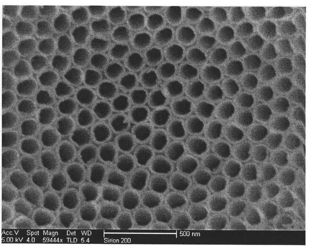 Preparation method of independent and ordered titanium dioxide nanotube arrays among tubes