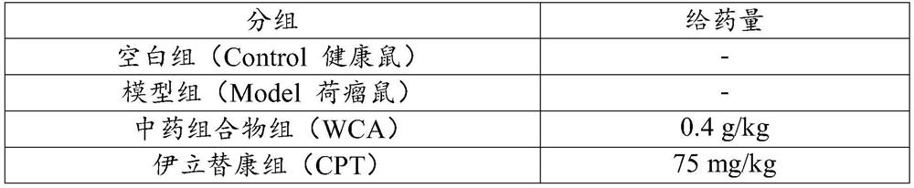 Traditional Chinese medicine composition, medicine containing traditional Chinese medicine composition and application