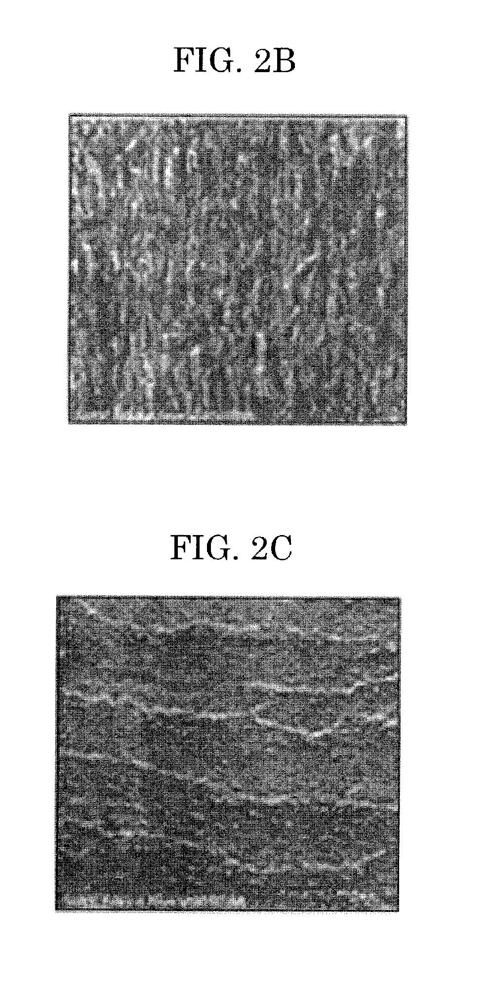 Developing roller, developing device, process cartridge, and image forming apparatus