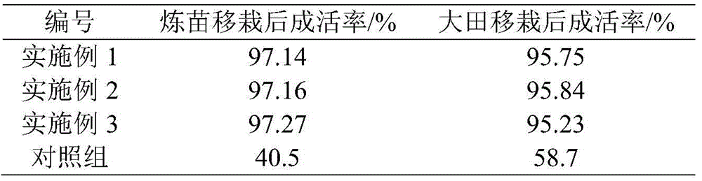 A kind of Tainong No. 16 pineapple tissue culture seedling hardening and artificial planting method