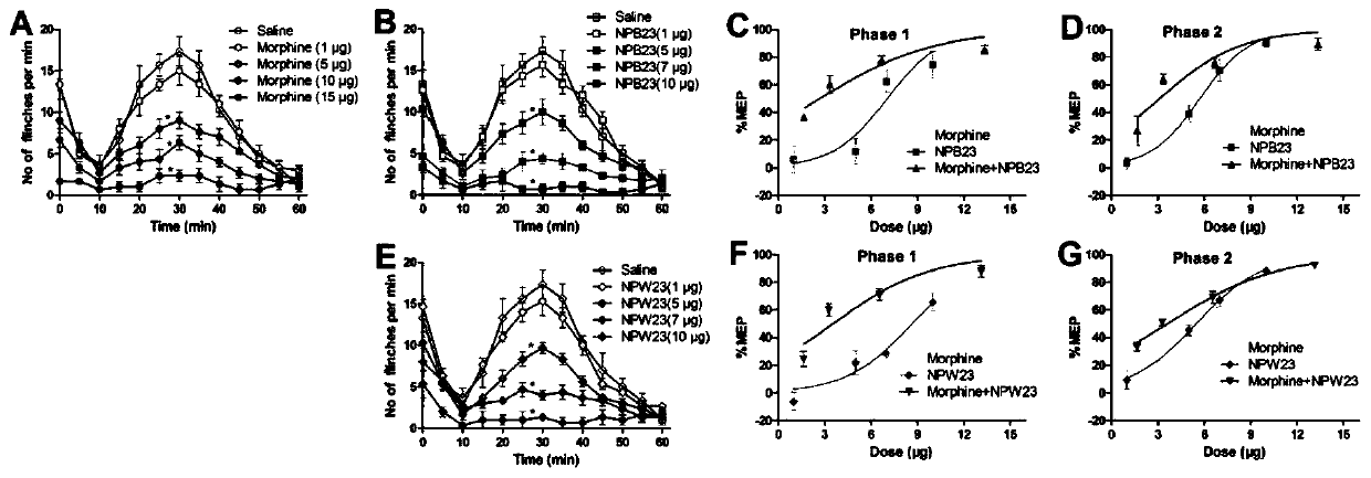 Application of combination of neuropeptides B23/W23 and morphine in preparing analgesic drugs