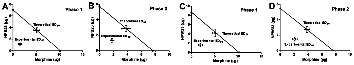 Application of combination of neuropeptides B23/W23 and morphine in preparing analgesic drugs