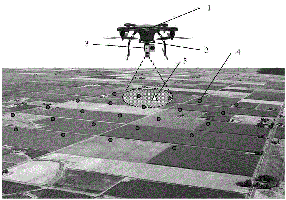 Large-area farmland crop water status monitoring method and system based on unmanned aerial vehicle infrared thermal image acquisition