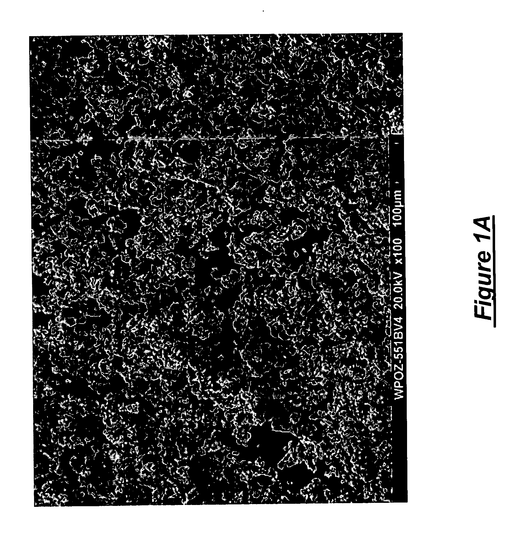 Method for formation of micro-prilled polymers