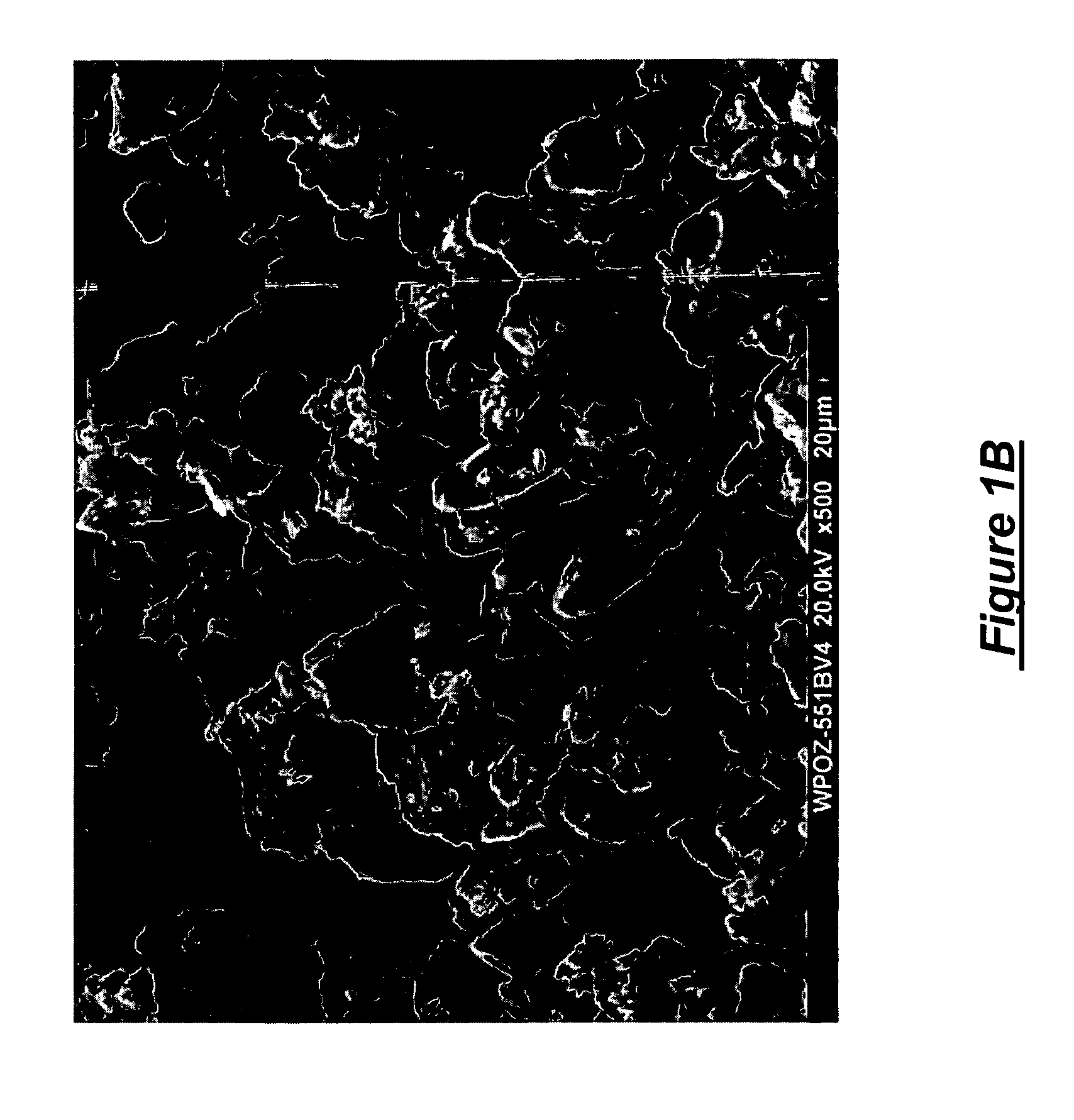 Method for formation of micro-prilled polymers