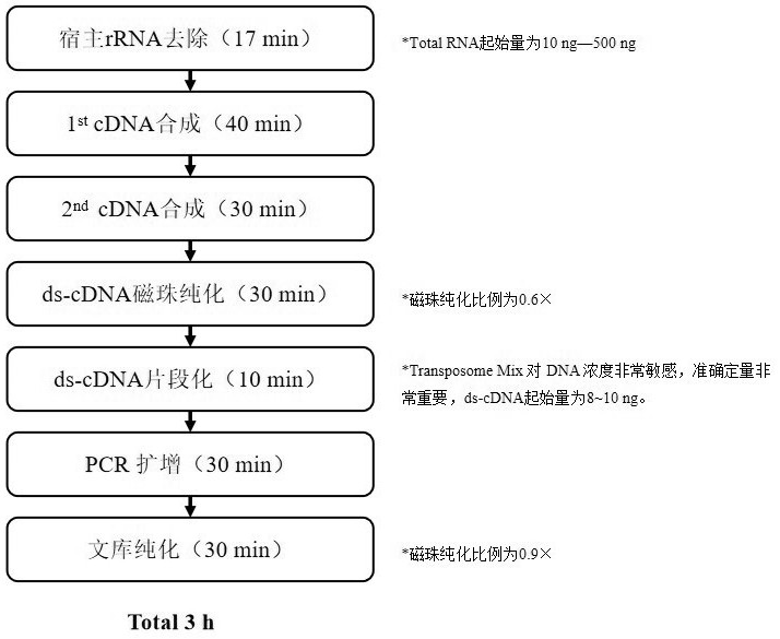 Top-speed RNA library building method and kit