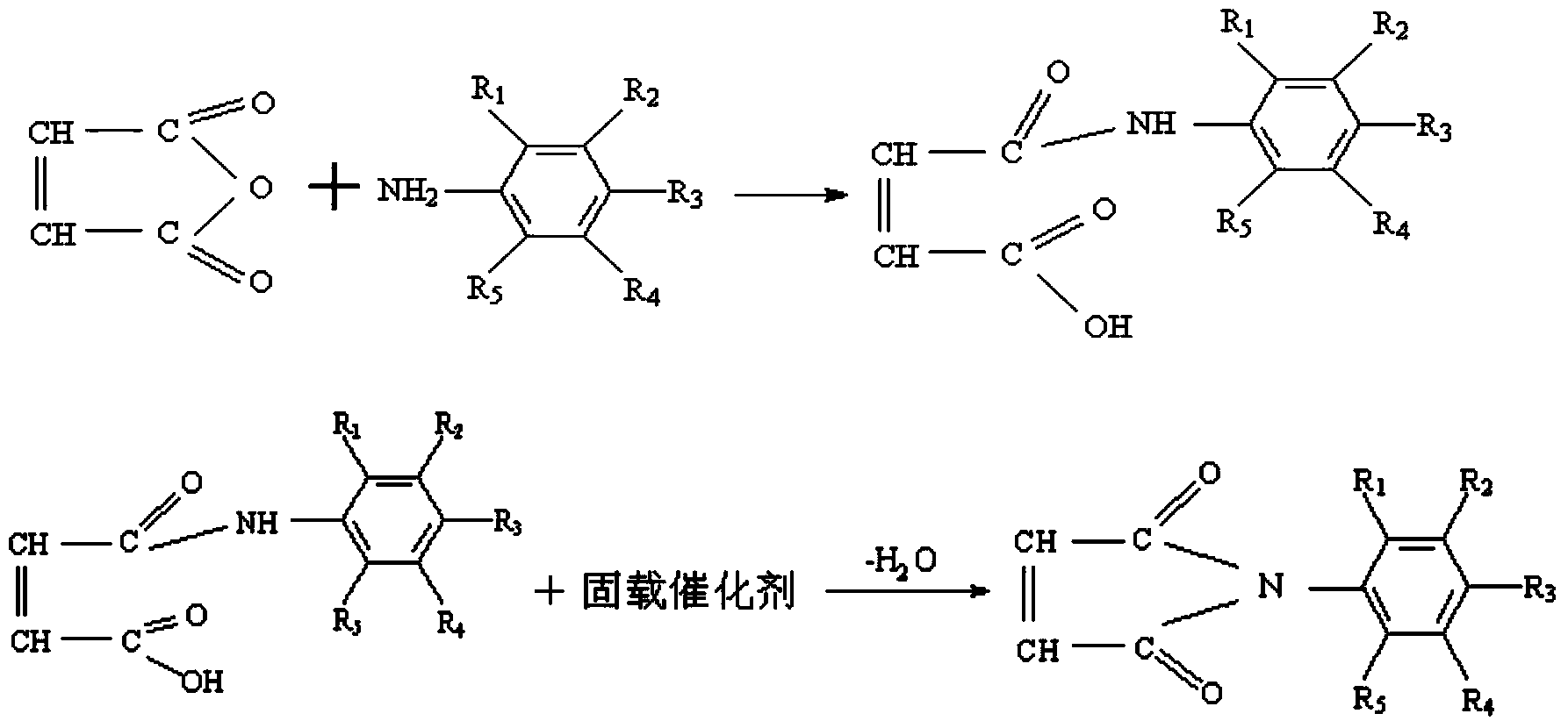 Immobilized type non-toxic catalyst and method for synthesizing N-phenylmaleimide and N-substitutional phenylmaleimide