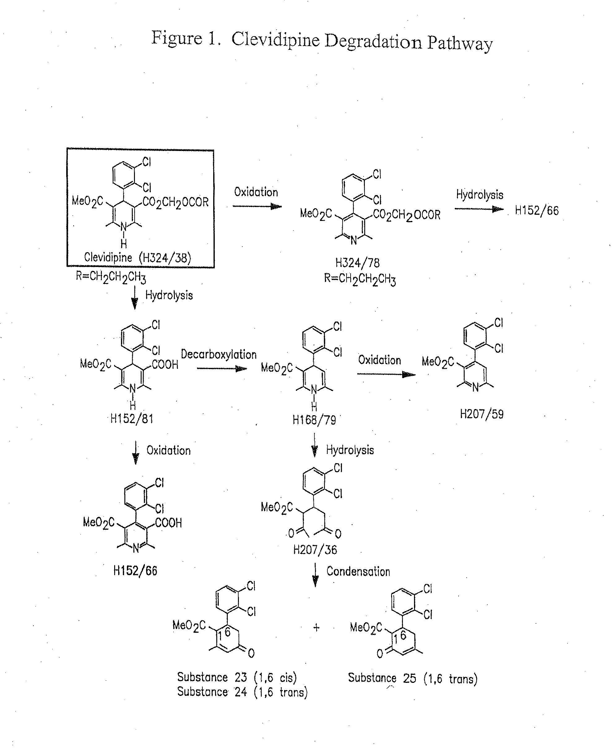 Clevidipine emulsion formulations containing antimicrobial agents