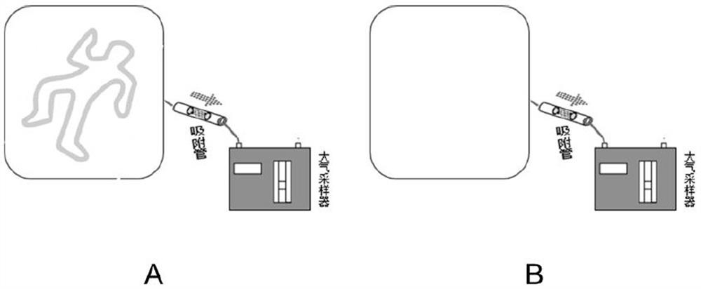 Collecting device for corpse-derived odorant and detection and visual analysis method of corpse-derived odorant